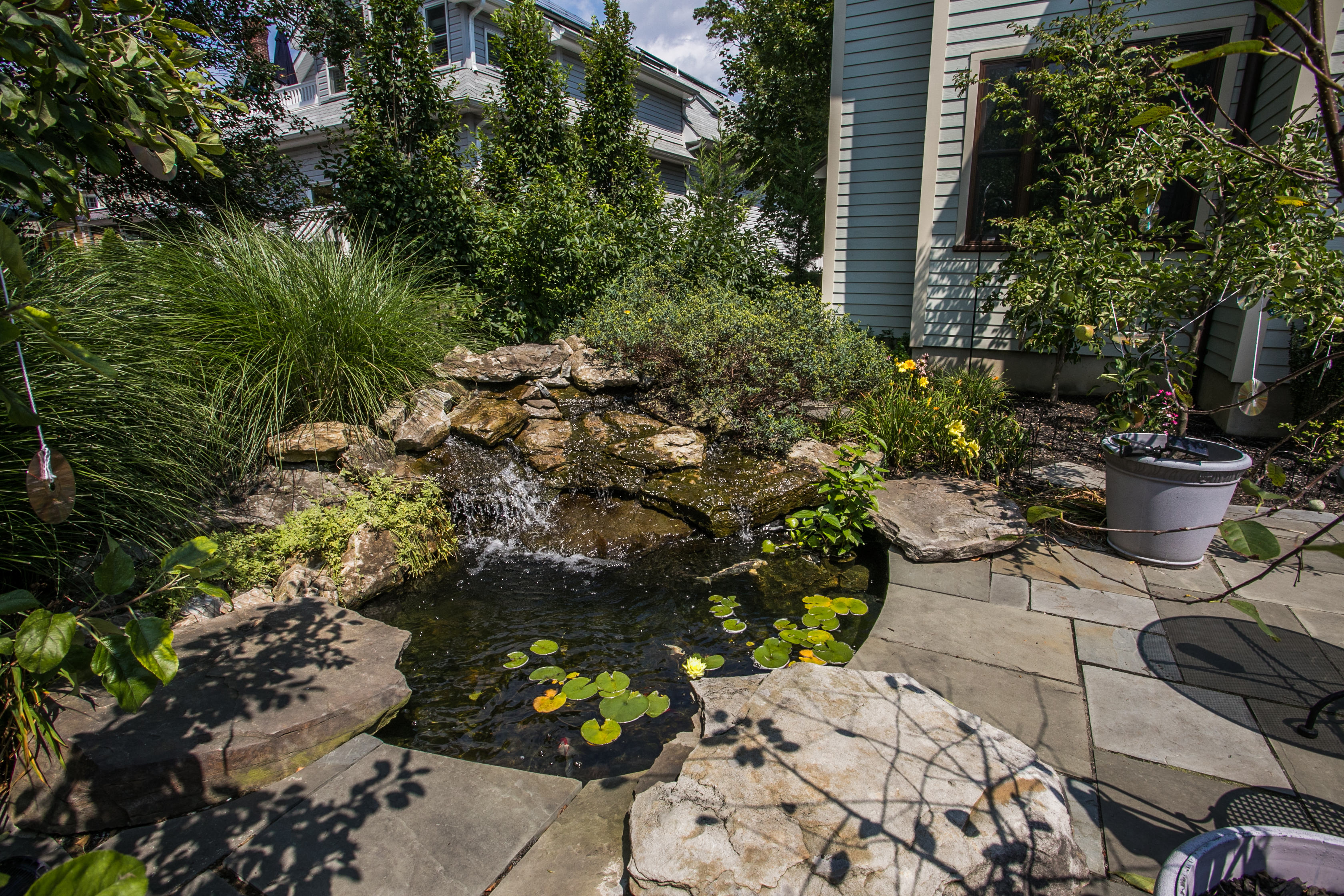 garden pond installation