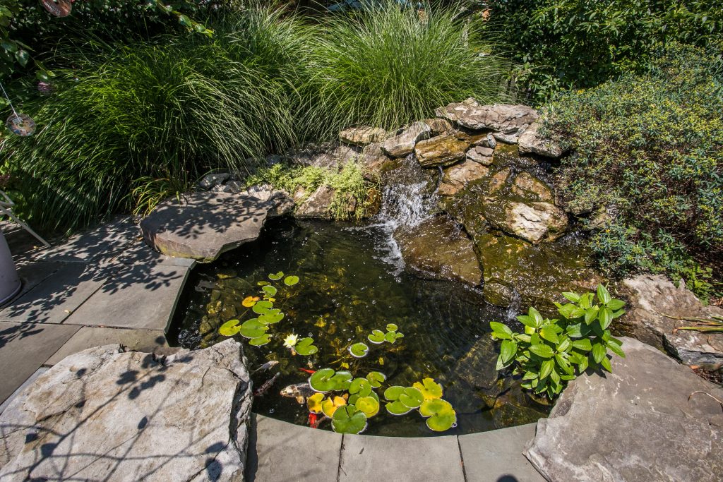 back yard water features