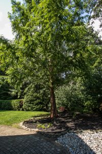 commercial-landscapers-monmouth-county