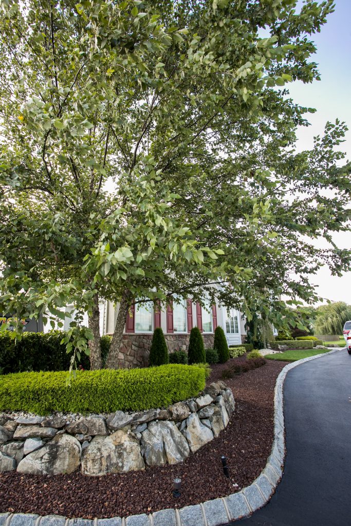 landscape driveway