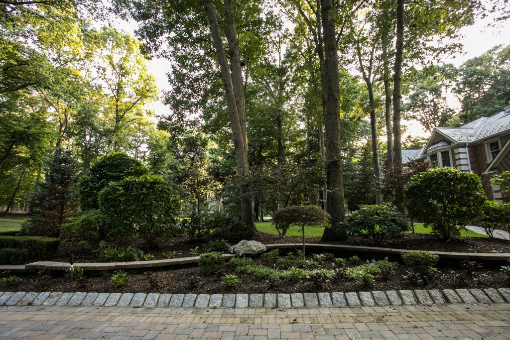 custom landscape design