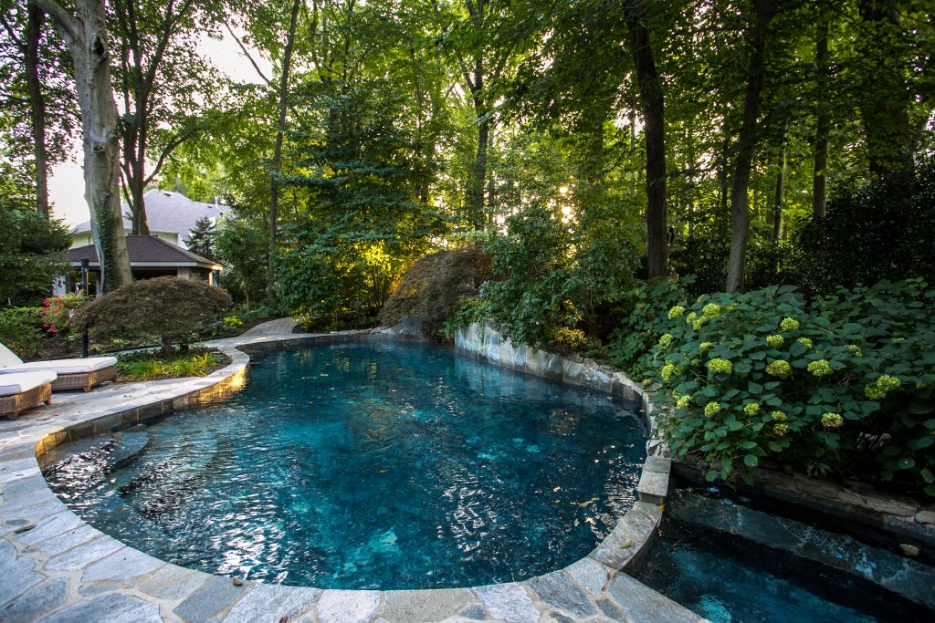 backyard landscape design