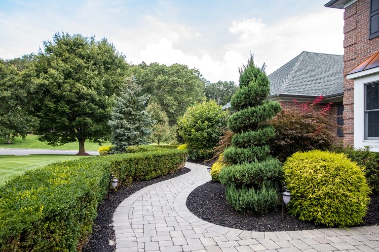 Landscapers Landscape Contractors Landscape Maintenance