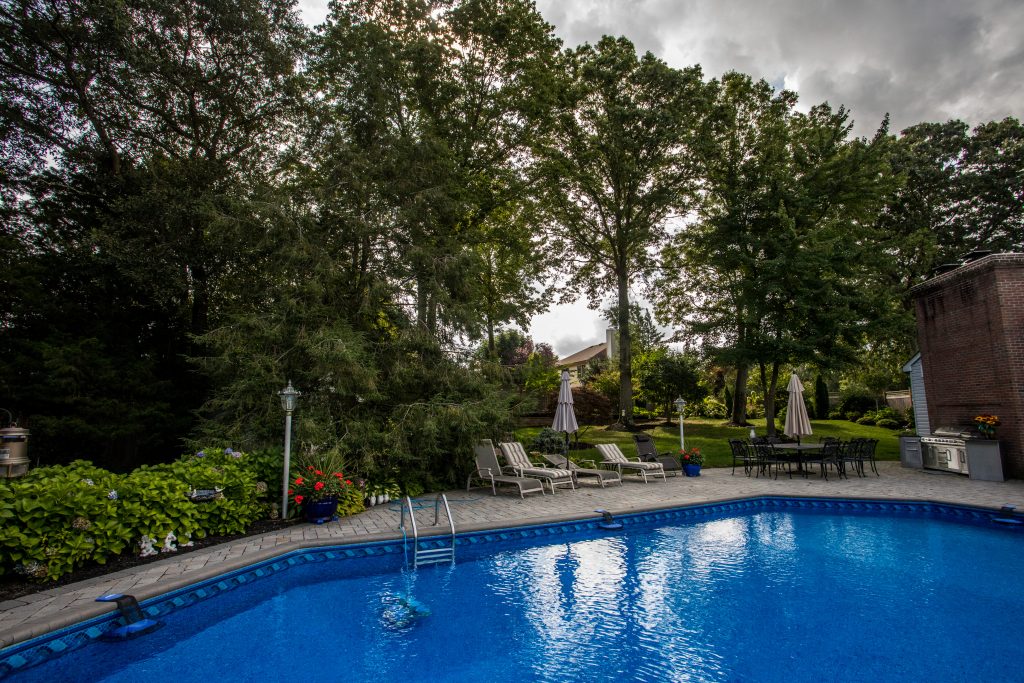 privacy landscaping around pool