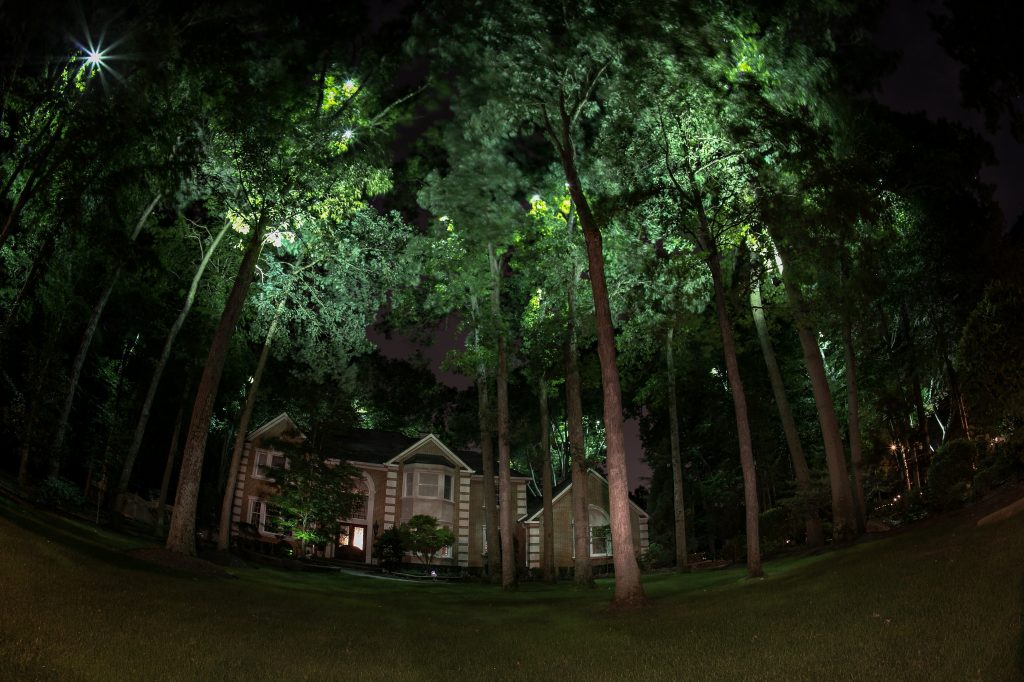 modern landscape lighting