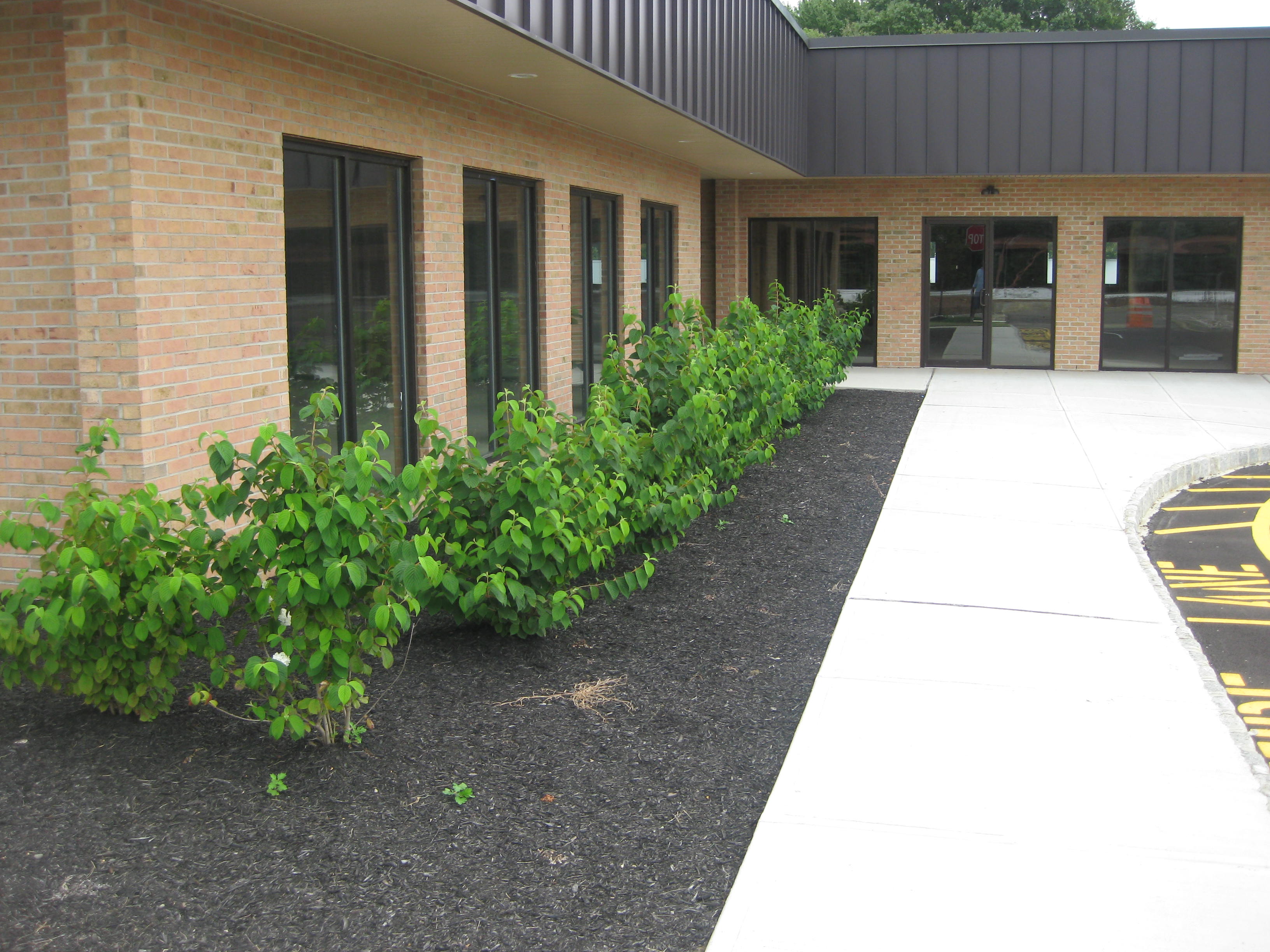 commercial-landscaping-services