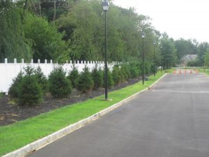 commercial-landscapers