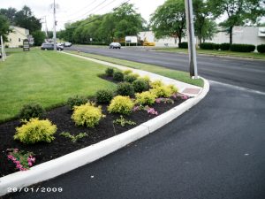 commercial-landscaping-services